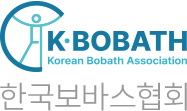 한국보바스협회